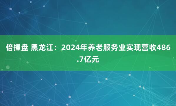 倍操盘 黑龙江：2024年养老服务业实现营收486.7亿元