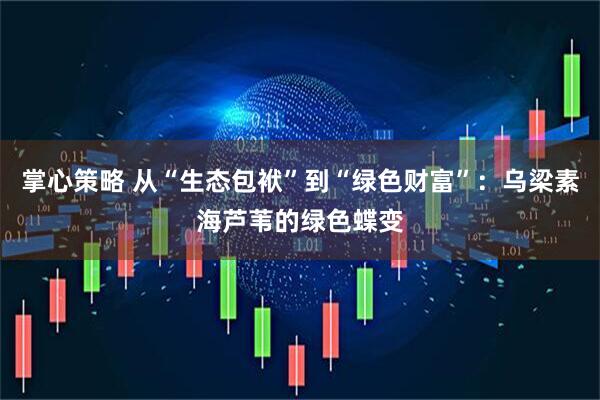掌心策略 从“生态包袱”到“绿色财富”：乌梁素海芦苇的绿色蝶变