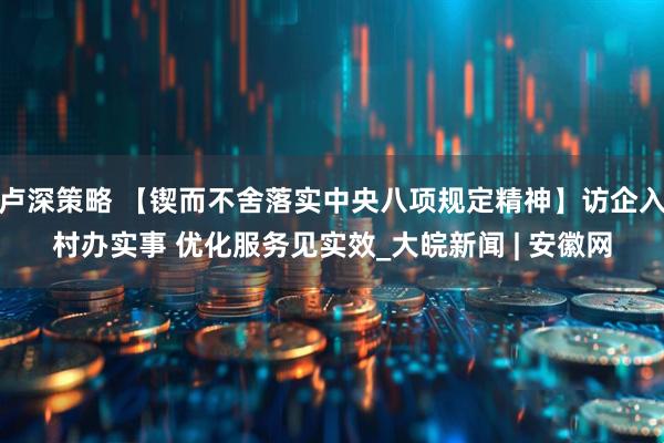 卢深策略 【锲而不舍落实中央八项规定精神】访企入村办实事 优化服务见实效_大皖新闻 | 安徽网