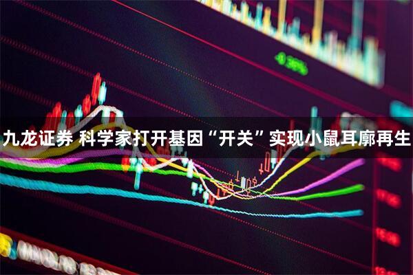 九龙证券 科学家打开基因“开关”实现小鼠耳廓再生