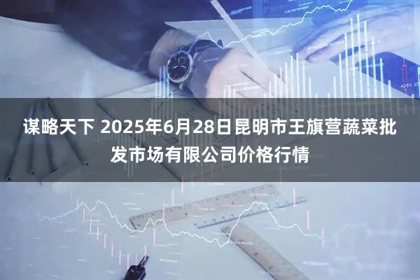 谋略天下 2025年6月28日昆明市王旗营蔬菜批发市场有限公司价格行情