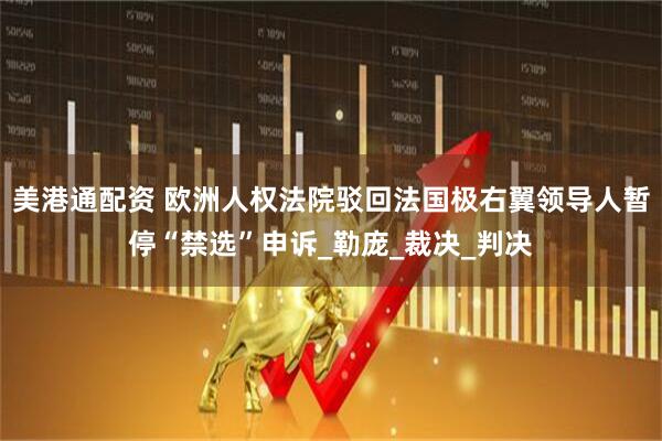 美港通配资 欧洲人权法院驳回法国极右翼领导人暂停“禁选”申诉_勒庞_裁决_判决